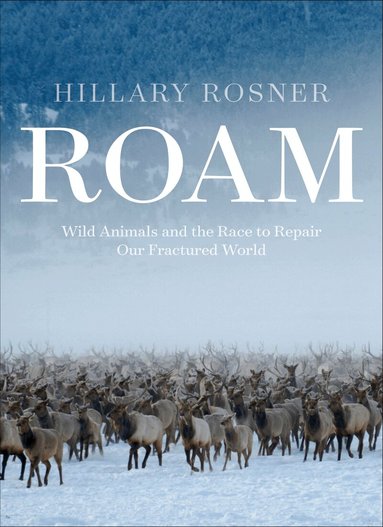 Hillary Rosner - Roam, Inbunden