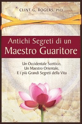 bokomslag Antichi Segreti di un Maestro Guaritore