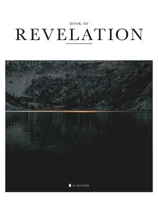 bokomslag Book of Revelation(sc, Nlt)