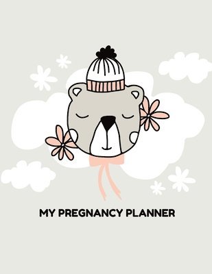 bokomslag My Pregnancy Planner