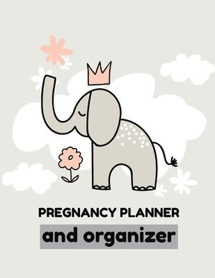 bokomslag Pregnancy Planner And Organizer