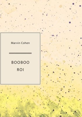 bokomslag Booboo Roi