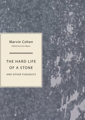 bokomslag The Hard Life of a Stone