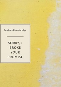 bokomslag Sorry, I Broke Your Promise