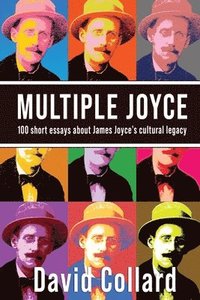 bokomslag Multiple Joyce