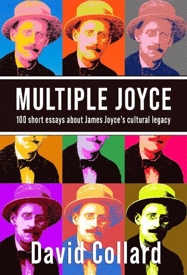 bokomslag Multiple Joyce