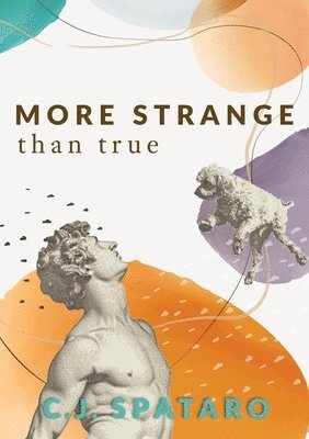 More Strange Than True 1