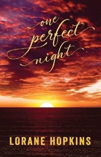 bokomslag One Perfect Night