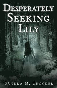 bokomslag Desperately Seeking Lily