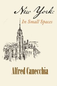 bokomslag New York: In Small Spaces