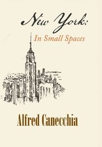 bokomslag New York: In Small Spaces
