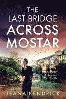 Last Bridge Across Mostar