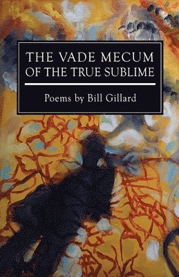 bokomslag Vade Mecum of the True Sublime