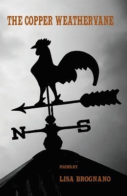 Copper Weathervane