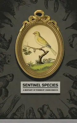 Chase Dimock - Sentinel Species, Häftad. Tillgänglighet: Lägg i varukorg