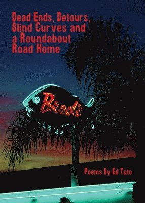 Dead Ends, Detours, Blind Curves and a Roundabout Road Home 1