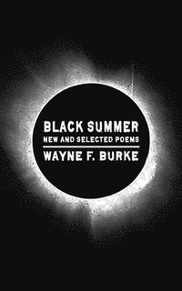 bokomslag Black Summer