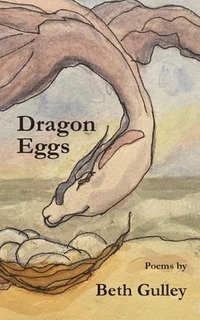 bokomslag Dragon Eggs