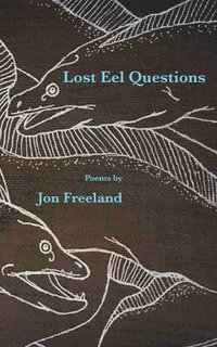 bokomslag Lost Eel Questions