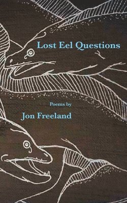 bokomslag Lost Eel Questions