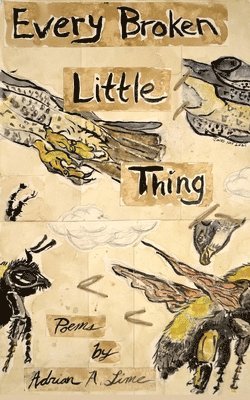 Adrian Lime - Every Broken Little Thing, Häftad