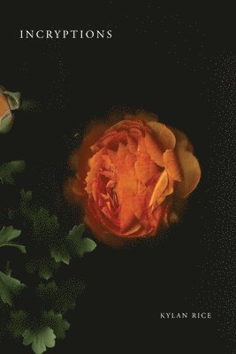 Kylan Rice - Incryptions, Häftad