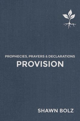 bokomslag Provision Volume 2