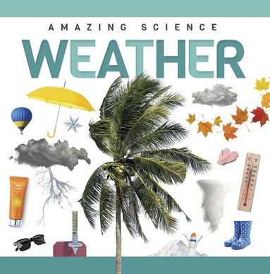 Rebecca Phillips-Bartlett - Weather, Inbunden