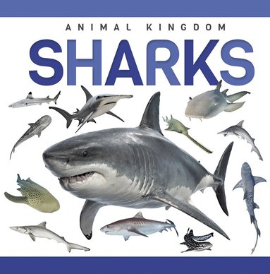 Alex Hall - Sharks, Inbunden