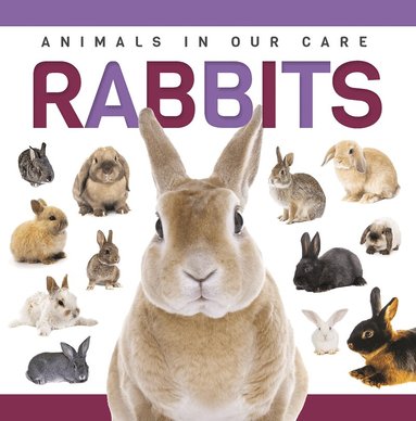 Alex Hall - Rabbits, Inbunden