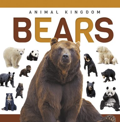 Alex Hall - Bears, Häftad