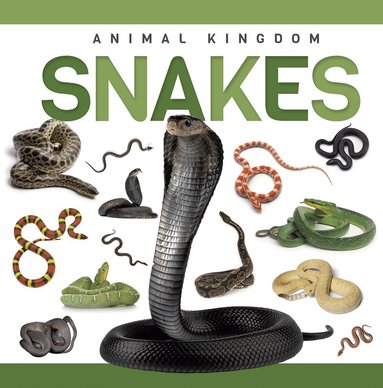 Rebecca Phillips-Bartlett - Snakes, Häftad