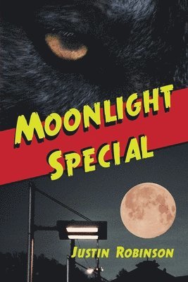 bokomslag Moonlight Special