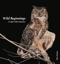 bokomslag Wild Beginnings