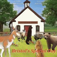 bokomslag Bristol's Special Day