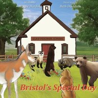 bokomslag Bristol's Special Day