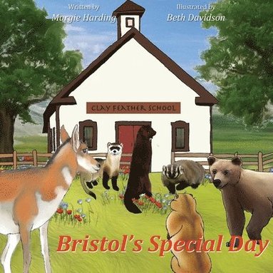 bokomslag Bristol's Special Day