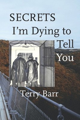 Terry Barr - Secrets I'm Dying to Tell You, Häftad