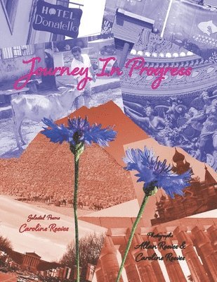 Caroline Reeves - Journey In Progress, Häftad