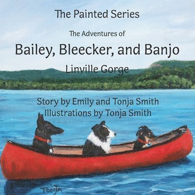 The Adventures of Bailey, Bleecker, and Banjo 1