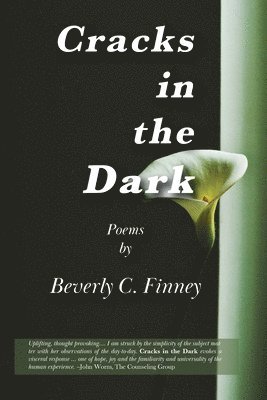 Beverly C Finney, Beverly C. Finney - Cracks in the Dark, Häftad