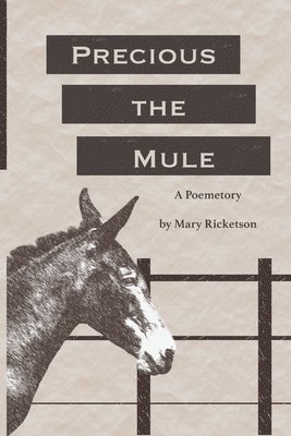 Precious the Mule 1