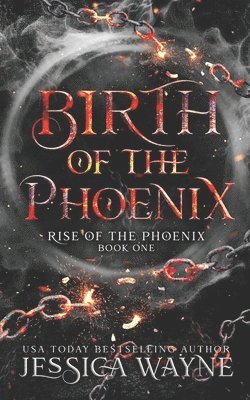 bokomslag Birth Of The Phoenix