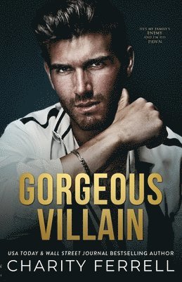 bokomslag Gorgeous Villain