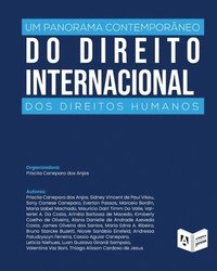 bokomslag Um Panorama Contemporaneo Do Direito Internacional Dos Direitos Humanos