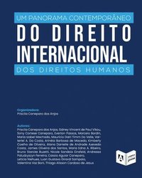 bokomslag Um Panorama Contemporneo Do Direito Internacional Dos Direitos Humanos