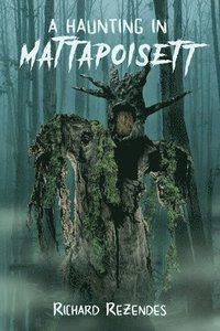 bokomslag A Haunting in Mattapoisett