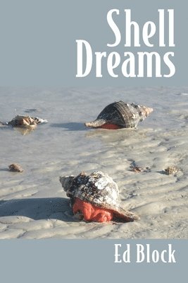 bokomslag Shell Dreams