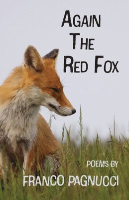Franco Pagnucci - Again The Red Fox, Häftad