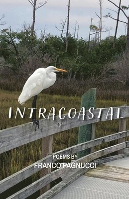Intracoastal